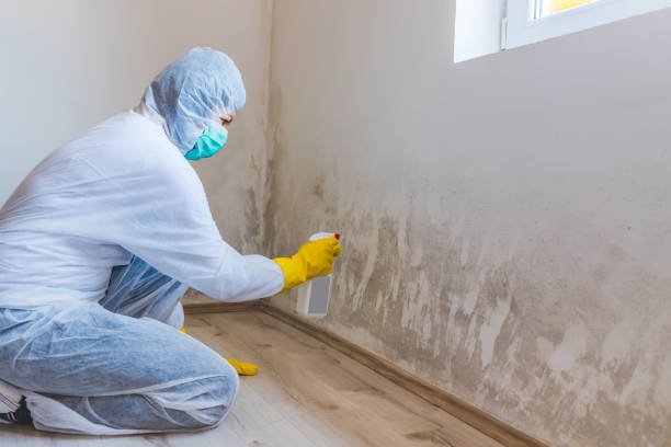 Hvac And Air Duct Mold Remediation inspection of HVAC system in Locust Valley