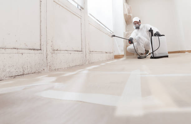 Black mold remediation team in Locust Valley